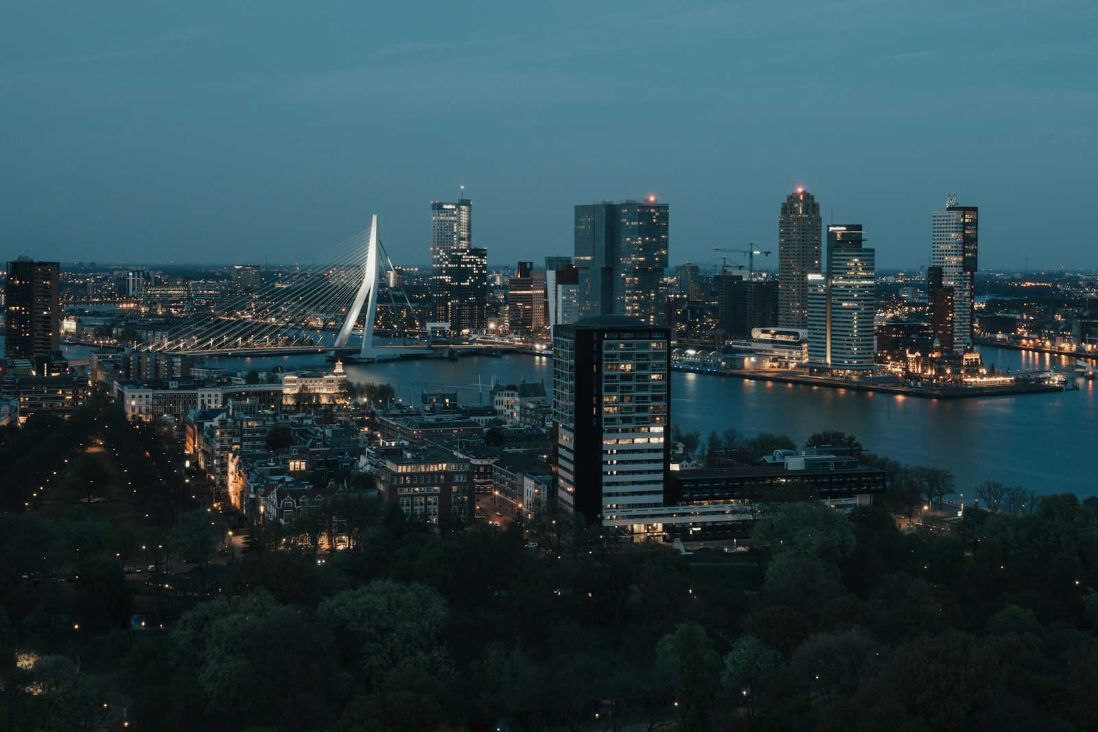 aerial view photography of city