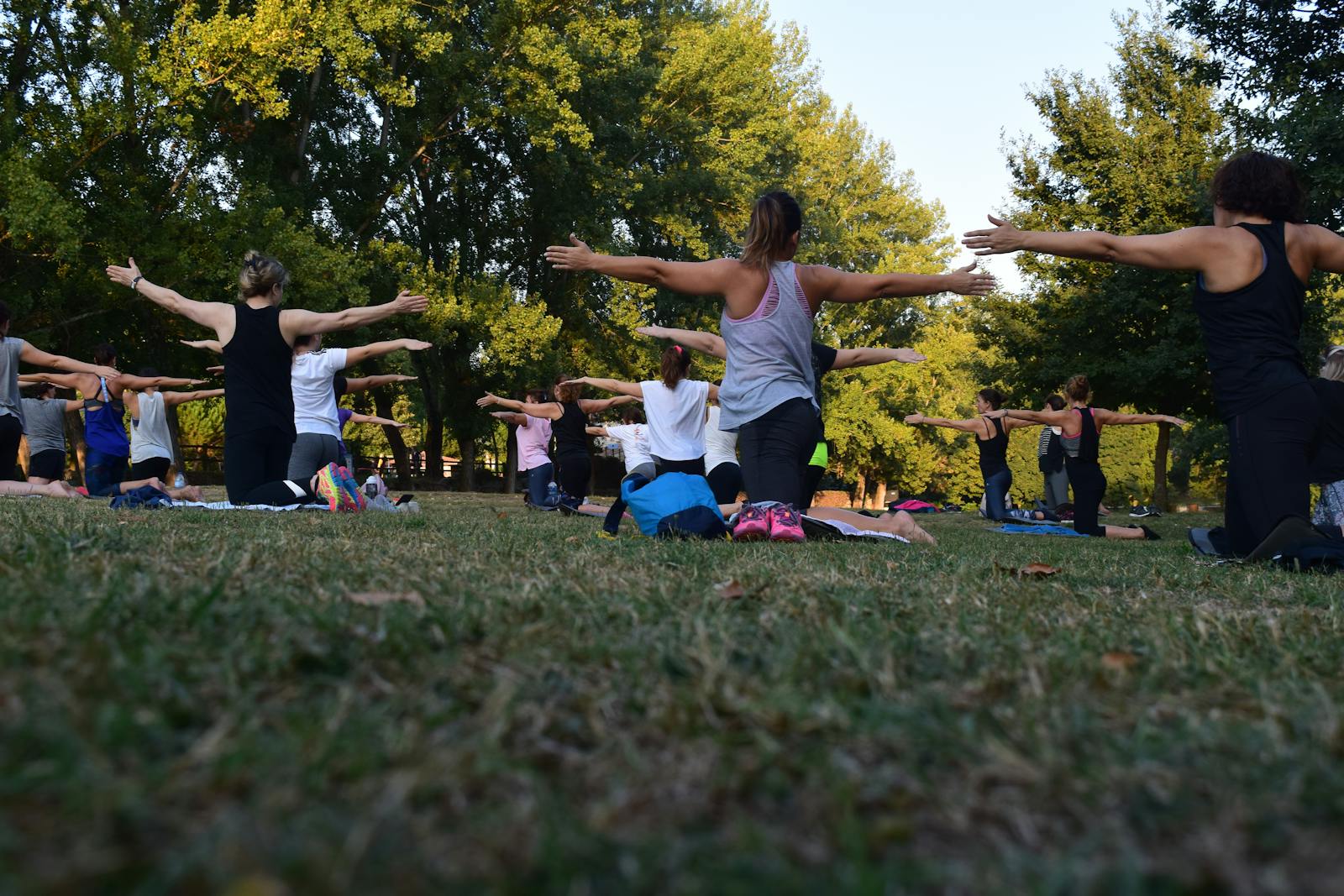 yoga courses